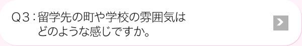Ｑ3: 留学先の町や(企業)の雰囲気はどのような感じですか。