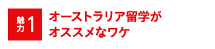 魅力1 オーストラリア留学がオススメなワケ