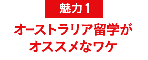 魅力1 オーストラリア留学がオススメなワケ