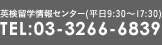 AI検定留学情報センター(平日9:30～17:30) TEL:03-3266-6839