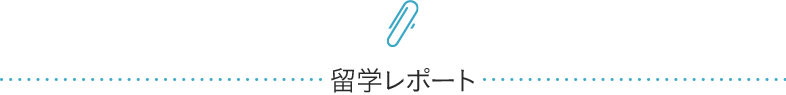 留学レポート