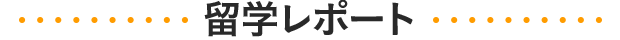 留学レポート